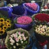 2017雲彩之旅